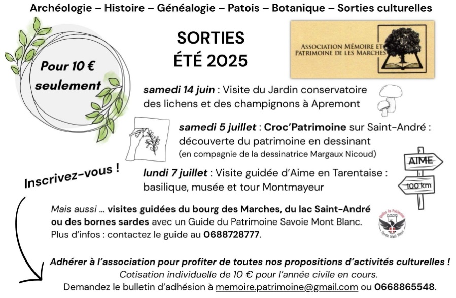 programme été 2026